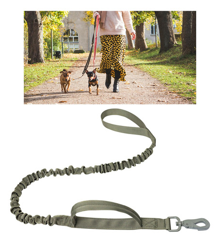 2 Correa Elástica Para Perros Con Absorción Mosquetón