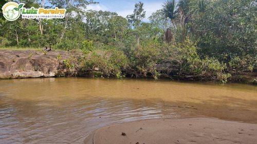 Imagem 8 de 15 de Fazenda Á Venda Em Corguinho/taboco - Ms -551 Hectares (dupla Aptidão) - 2237