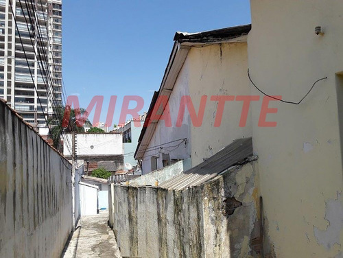 Imagem 5 de 5 de Terreno Em Santa Terezinha - São Paulo, Sp - 107035