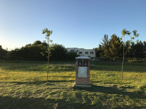 Imagen 5 de 8 de Terreno En Venta En Francisco Alvarez