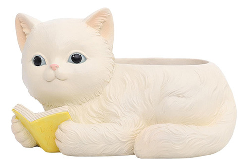 K Maceta De Flores De Gato Plantas Suculentas Bonsái Estilo