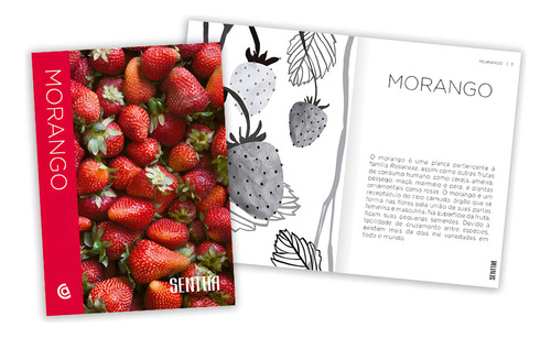 Senttia Morango, de Editores, Catapulta. SENTTIA (1), vol. 1. Editorial Catapulta Editores Ltda, capa dura em português, 2018