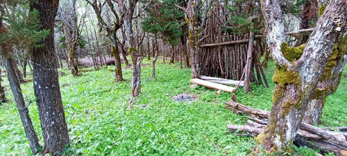 A 16 Km De Rio Tranquilo, Campo 100 M2 Orilla De Rio.