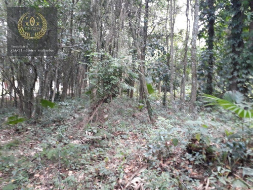 Imagem 7 de 12 de Terreno À Venda, 3283 M² Por R$ 160.000,00 - Planalto - Viamão/rs - Te0143