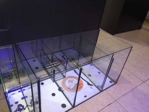 Aquario De 200 Litros C/ Sump 1.00x40x50