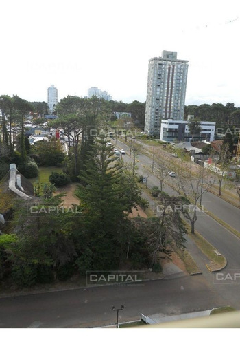 Imagen 14 de 21 de Torre Nueva Próxima A Punta Shopping - Punta Del Este Roosevelt
