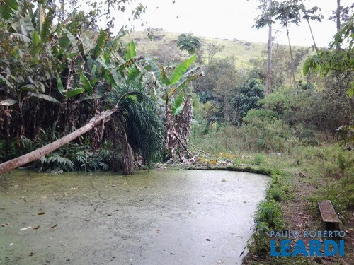 Area - Reserva - Sp - 373456
