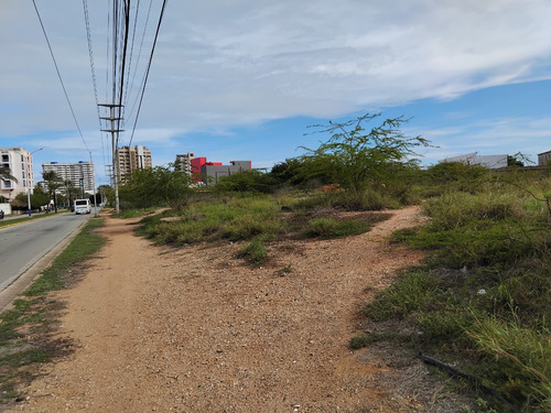 Terreno En Avenida Francisco Esteban Gomez