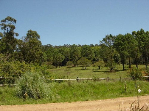 Imagen 2 de 6 de Chacra En Camino Lussich, Punta Ballena