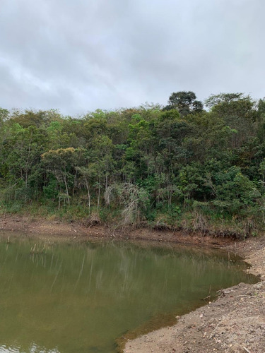 Fazenda De 30 Hectares Com 12 Plantados De Eucalipto