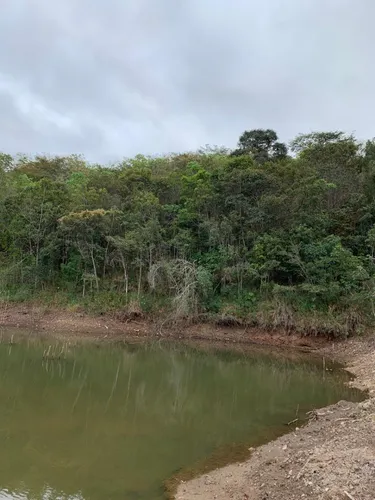 Fazenda De 30 Hectares Com 12 Plantados De Eucalipto