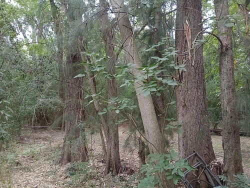 Terreno - Gualeguaychu