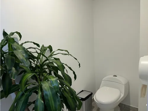 Se Arrienda Local-negocio Salón De Belleza En Santa Ana