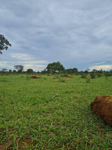 Imagem 5 de 5 de Fazenda À Venda, 3630000 M² Por R$ 9.000.000,00 - Zona Rural - Alexânia/go - Fa0026