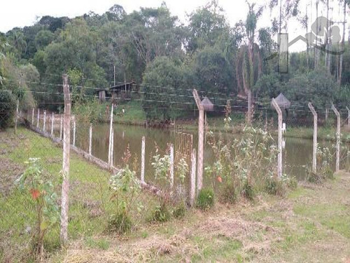 Imagem 12 de 14 de Cod 3611 - Sitio 30.000 Mts De Terreno Com Bosque - 3611