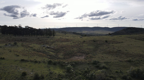 Imagen 9 de 12 de Chacra En Maldonado 3ha Sierra De Los Caracoles (ref: Atm-6801)