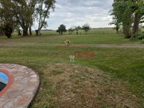 Imagen 6 de 30 de Venta De Campo De 21 Has Entre Jeppener Y Ranchos