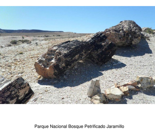 Campo De 10700 Ha En Venta - Jaramillo - Santa Cruz