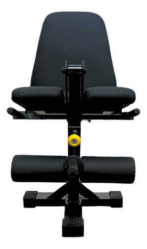 Kit Cadeira Extensora Anilhada Academia + 4 Anilhas De 10kg