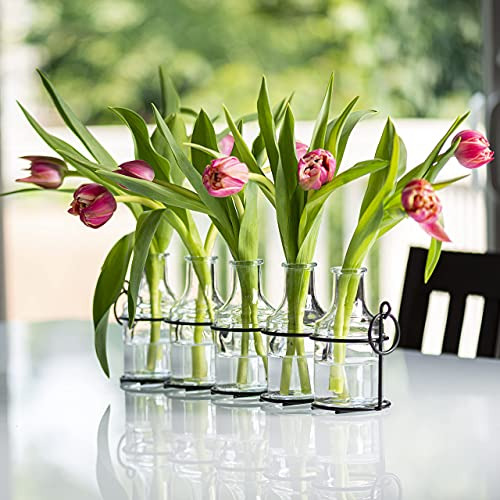 Jarrón De Flores De Vidrio 5pc Con Soporte De Metal, Los Mej