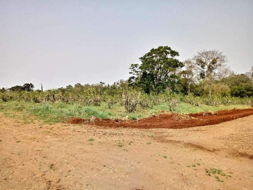 Imagen 4 de 7 de Loteo Don Carlos - Guaraní - Oberá Misiones