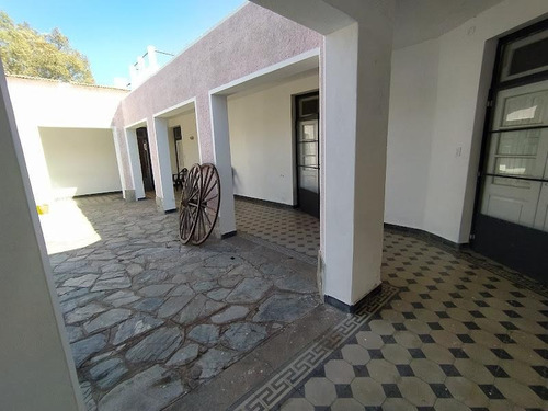 Imagen 4 de 19 de Campo Ganadero Y De Siembra En Venta En Lafinur, Provincia De San Luis