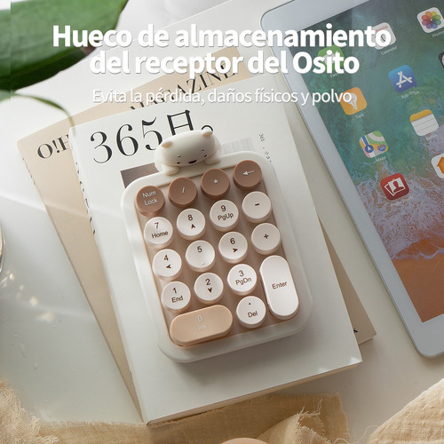 Teclado Numérico Mofii 052 Little Bear En Té Con Leche