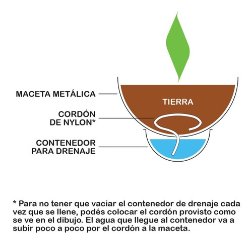 Imagen 7 de 8 de Maceta Colgante De Pared