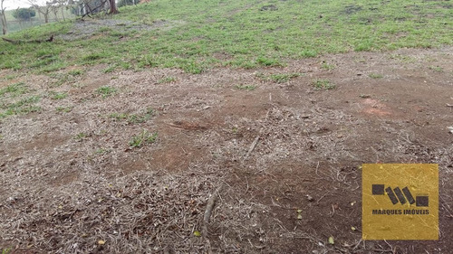 Imagem 9 de 13 de Terreno Em Monte Negro - Santa Isabel - 4041