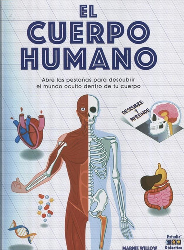 El Cuerpo Humano -descubre Y Aprende, De Willow, Marnie. Editorial Edimat Libros, Tapa Dura, Edición 1 En Español, 2019