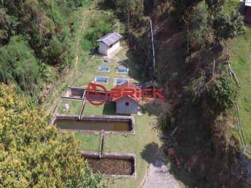 Sitio - Frades - Ref: 33619044 - V-fa00014
