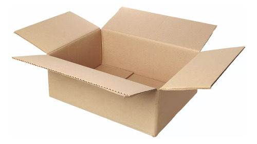 Caja Carton Corrugado 30x20x15 Envio Encomienda Correo X25 U