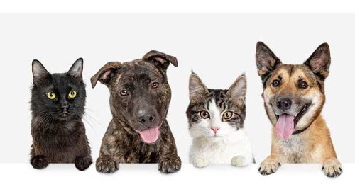 Imagen 3 de 5 de Alimentos Raciones Y Artículos Para Mascotas