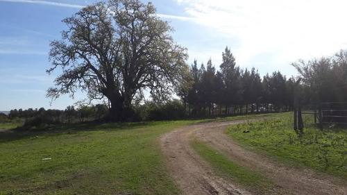 Imagen 10 de 17 de Lotes Linderos A Las Termas, Excelente Vista Al Rio