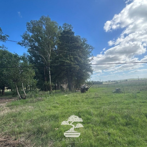Venta Chacra Con Casa Y Galpones Florida Mp