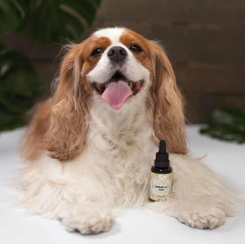 Greatful Paws 30mlcbd200mg