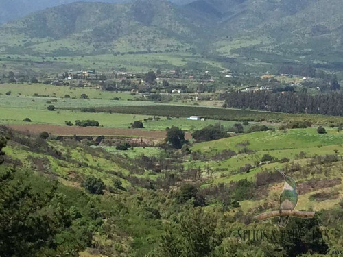 F-190 Valle Alegre, Quintero, 20.000m2