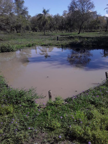 Campo Con Mejoras, Electricidad Y Título - Mariano Boedo- Formosa