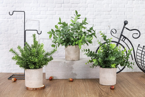 Paquete De 3 Mini Plantas Artificiales En Macetas Eucalipto Verde