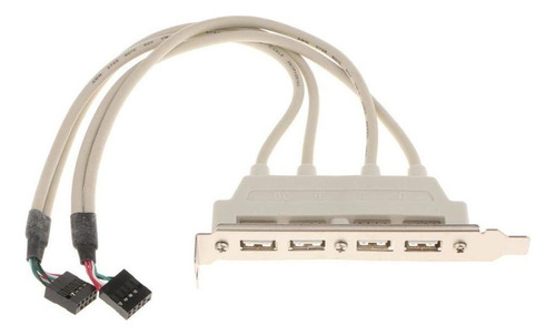 Cabezal De Placa Base Dual 10pin A 4 Puerto Usb2.0 Cable De