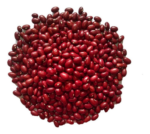 40 Semillas De Poroto Rojo De Brasil - Variedad Criolla
