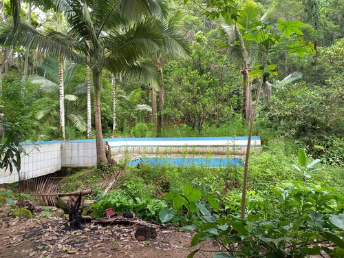 Imagem 8 de 14 de Sítio Completo Com Casa E Bar Lagos Com Peixe