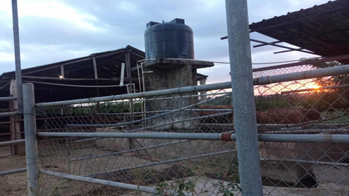 Vendo Finca De 1300 Tareas En Aras Nacionales En Villa Mella