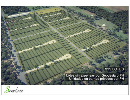 Imagen 6 de 30 de Lote En Venta En Gorina | 501y161 | Senderos (barrio Privado) Ph Mza.a-l.26 (uf.10) 344,20 Mts