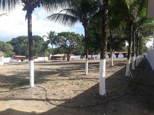 Chácara Para Venda Em Satuba, Zona Rural - Ch - 05_1-1722118