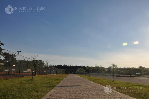 Imagen 7 de 11 de Lote Interno A4 - San Matias