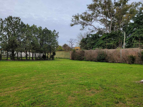 Lote En Venta En Monte Grande De 435m2