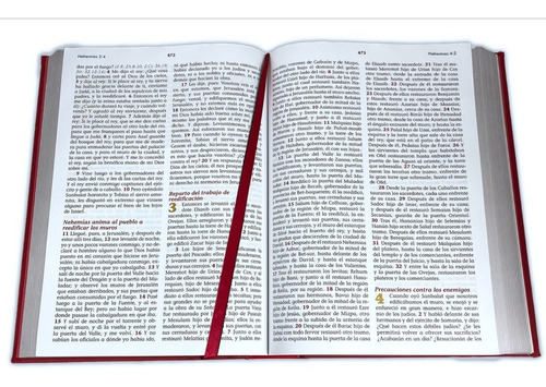 Imagen 5 de 6 de Biblia Familiar De Lujo Letra Gigante Diccionario Cafe Rvr60