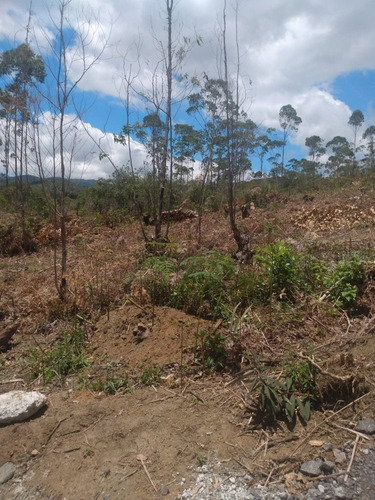 Imagem 11 de 12 de J09-venda De Lotes Em Mogi Das Cruzes R$60.000