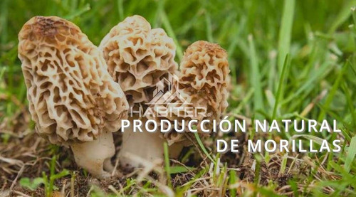 Agrícola En Venta En Coihaique